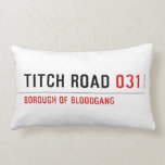 TITCH ROAD  Pillows (Lumbar)