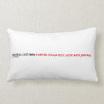 SHAHRIZAL B OTHMAN  Pillows (Lumbar)