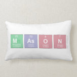 mason  Pillows (Lumbar)