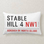 stable hill 4  Pillows (Lumbar)
