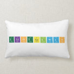 EliotGelwan  Pillows (Lumbar)