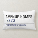 Avenue Homes   Pillows (Lumbar)