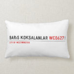 barıs köksalanlar  Pillows (Lumbar)