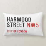 Harmood  Street  Pillows (Lumbar)