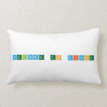 Welcome to DISCOE  Pillows (Lumbar)
