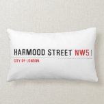 Harmood street  Pillows (Lumbar)