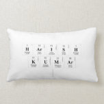 
 Harish
 Kumar
   Pillows (Lumbar)