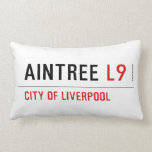 Aintree  Pillows (Lumbar)