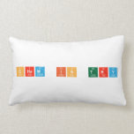 CHem is try  Pillows (Lumbar)