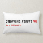 Drowning street  Pillows (Lumbar)