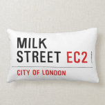 Milk  Street  Pillows (Lumbar)