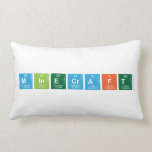 Minecraft  Pillows (Lumbar)