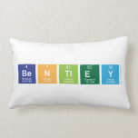 Bentley  Pillows (Lumbar)