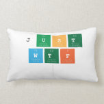 just
 wtf
   Pillows (Lumbar)