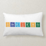 obedience  Pillows (Lumbar)