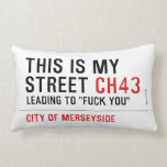 This is my  street  Pillows (Lumbar)