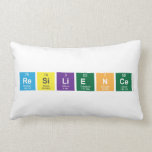 Resilience  Pillows (Lumbar)
