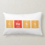 chess  Pillows (Lumbar)