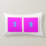 38  Pillows (Lumbar)