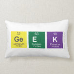 Geek  Pillows (Lumbar)