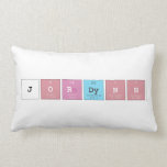 jordynn  Pillows (Lumbar)