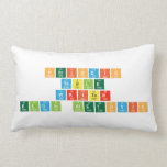 Periodic
 Table
 Writer
 Eldin Aletovic  Pillows (Lumbar)