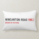 WINCANTON ROAD  Pillows (Lumbar)
