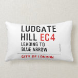 Ludgate  Hill  Pillows (Lumbar)