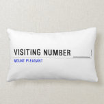 Visiting Number ____  Pillows (Lumbar)