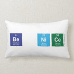 Be Nice  Pillows (Lumbar)