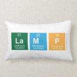 Lamp  Pillows (Lumbar)