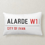 Alarde  Pillows (Lumbar)