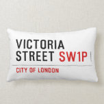Victoria Street  Pillows (Lumbar)