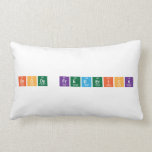 Brody Frederick  Pillows (Lumbar)