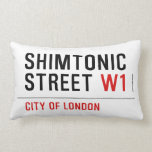 Shimtonic Street  Pillows (Lumbar)