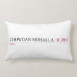 Chowgan mohalla  Pillows (Lumbar)