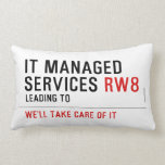 It managed  services  Pillows (Lumbar)