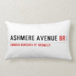 ASHMERE AVENUE  Pillows (Lumbar)