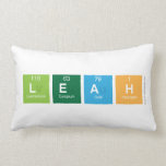 Leah  Pillows (Lumbar)