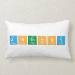 anthony  Pillows (Lumbar)