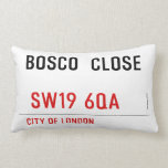BOSCO  CLOSE    Pillows (Lumbar)