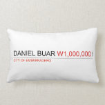 DANIEL BUAR  Pillows (Lumbar)