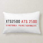 XTS2500  Pillows (Lumbar)