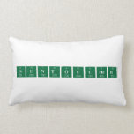 Suntoucher  Pillows (Lumbar)