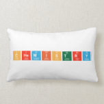 chemistry  Pillows (Lumbar)