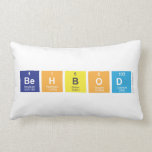 Behbod  Pillows (Lumbar)