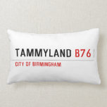 TAMMYLAND  Pillows (Lumbar)