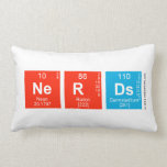Nerds  Pillows (Lumbar)