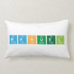 Manuel  Pillows (Lumbar)