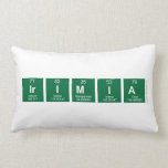 Irimia   Pillows (Lumbar)